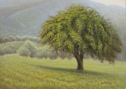 Apple Tree