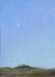 Dune Sunflowers & Moon