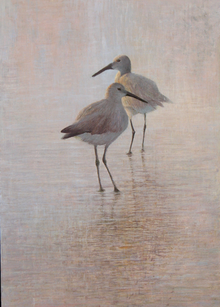 Ambrose egg tempera painting of Willets